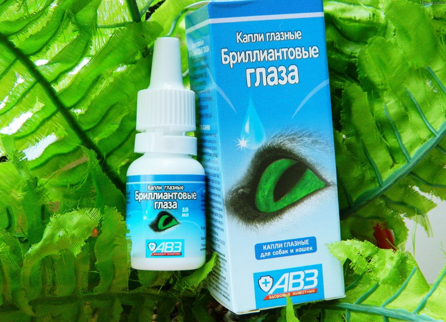Brilliantovye Glaza