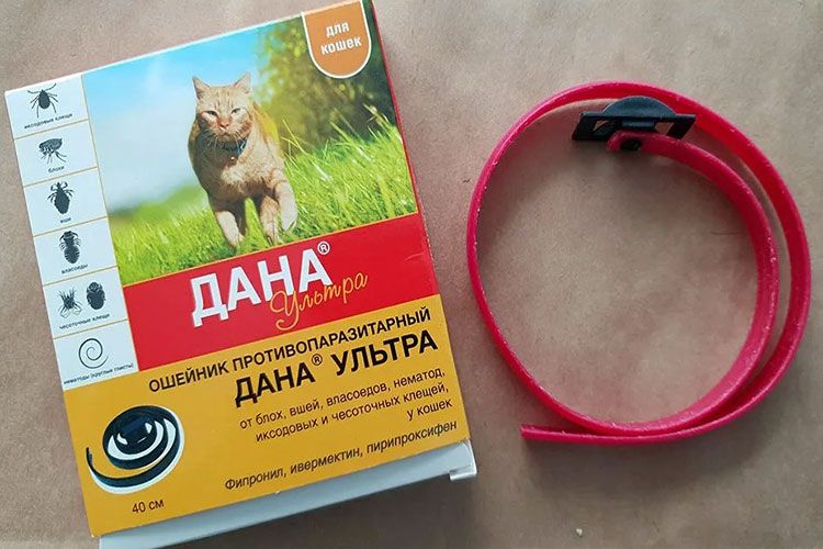 Collar Dana Ultra