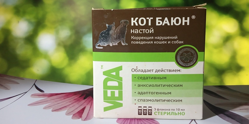 Infusión Kot Bayun
