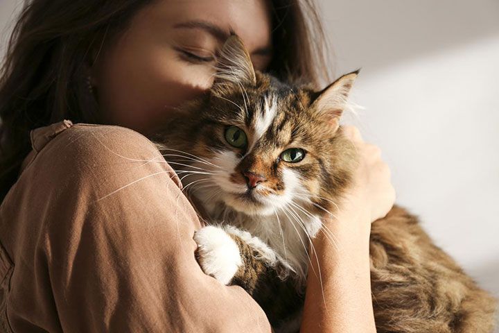 Gata y dueña