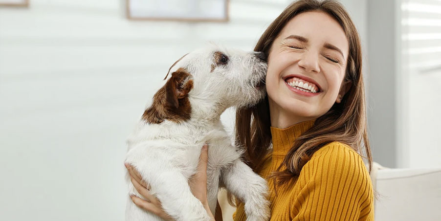 ¿Por qué estornuda el perro cuando se alegra?