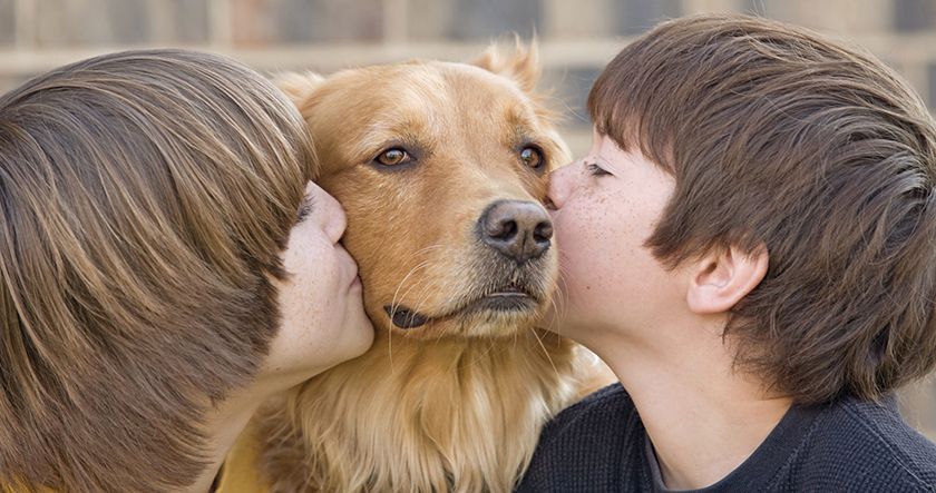 Perro y niños