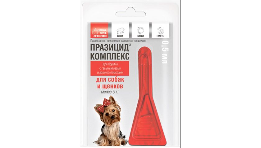 Prazicid para perros pequeños