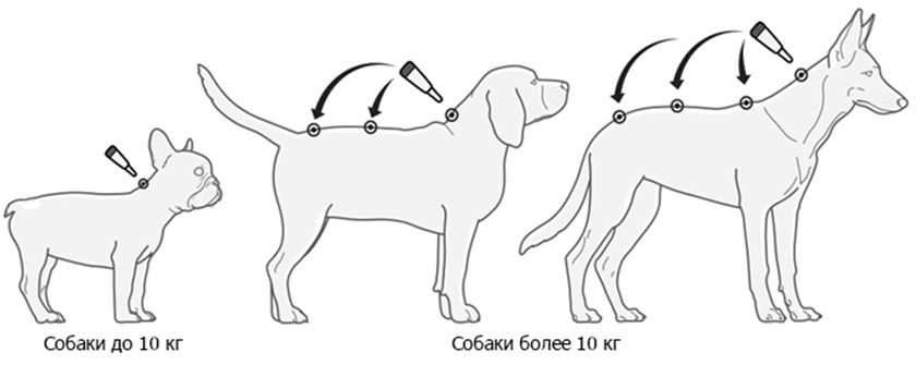 Instrucciones de aplicación de las gotas