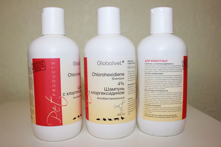 Champú con clorhexidina Global Vet