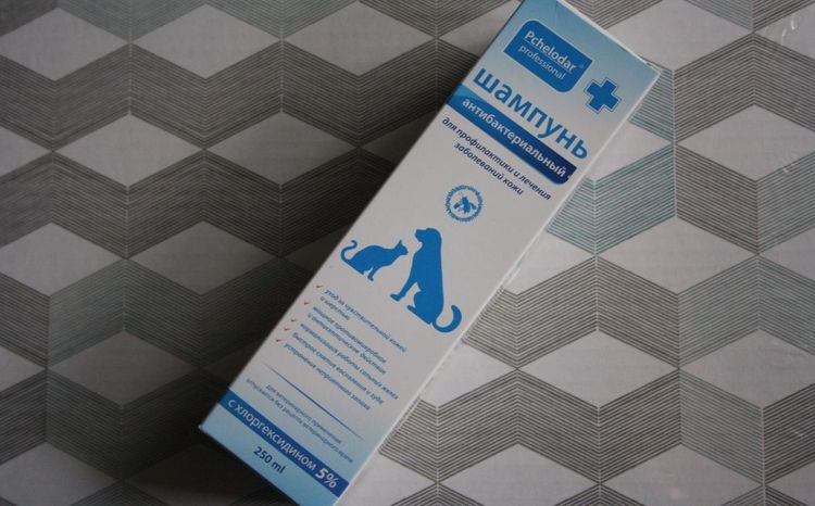 Champú con clorhexidina "Pchelodar"