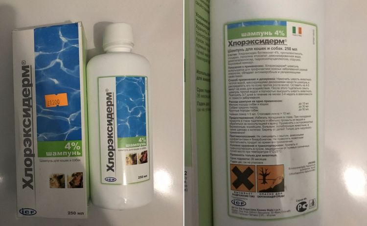 Champú con clorhexidina Clorexiderm