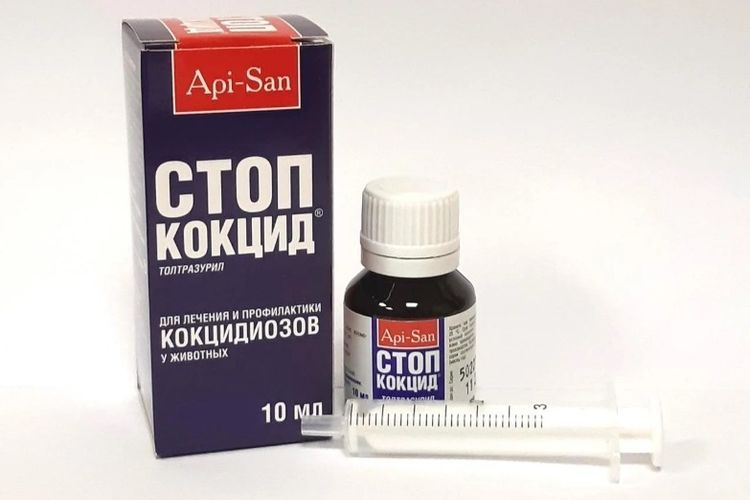 Stop-Kokzid